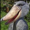 Profilbild von shiropon