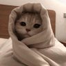 SALWA 🤍 的头像