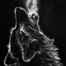 Alpha's profile picture