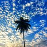 Rajath's profile picture