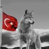 timur's profile picture