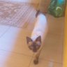 ajibbbbbb profil fotoğrafı