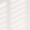 🇩🇿fou🇩🇿's profile picture