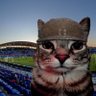 carlospb's profile picture