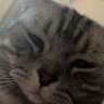 Profilbild von huahua ma