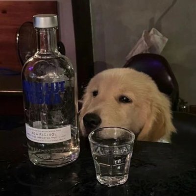 kykykkyo's profile picture