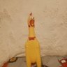Rubber chicken's profile picture