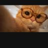 🥕's profile picture