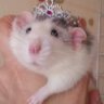 ISABELLA!'s profile picture