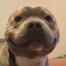 Manolito's profile picture