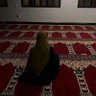 Фото профиля Eman Elngar