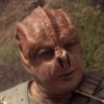 shaka when the memes fell 的头像