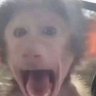 ZIRMA's profile picture