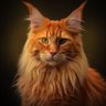 KJ's profile picture