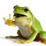 Bobmaloogasfinger's profile picture