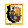 🇵🇸(الوثائقيه)Nat Geo FCB🇾🇪 的头像