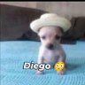 Profilbild von Diegoo๐ฒ๐ฝ๐บ๐พ๐จ๐ฆ