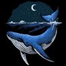 Balaenoptera Musculus 的头像