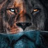 Miami Lion Trades, MBA profil fotoğrafı