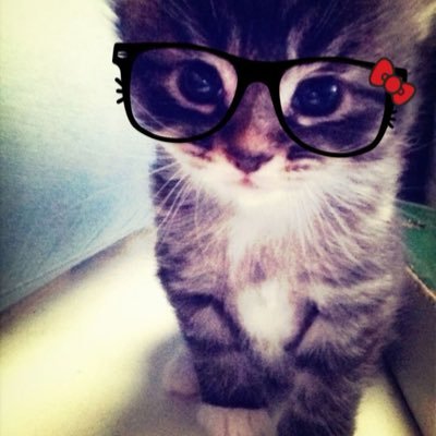 :3's profile picture