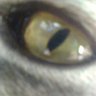 Profilbild von Ariel