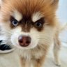 K profil fotoğrafı