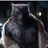 Фото профиля Wolfman’s Nards