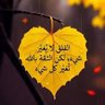 سيف profil fotoğrafı