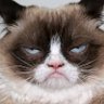 gabo's profile picture
