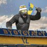 Gucho🇸🇪 profil fotoğrafı