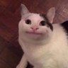 Profilbild von Ana