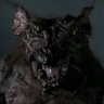 Whackabumpty's profile picture