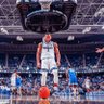 Wildcats on Top's profile picture