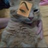 David's profile picture