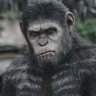 Zarcé_X profil fotoğrafı