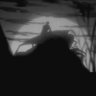 SHADOW 的头像