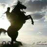Masry profil fotoğrafı