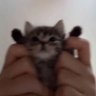 Profilbild von Ayomide