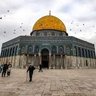 Фото профиля عمر قايد الوصابي 💫