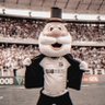 Lucas2403ᶜˢᶜ #NuncaAbandonar 的头像