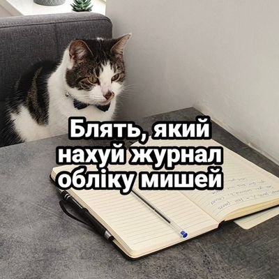 iskrovska's profile picture