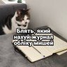 Киця-навідниця's profile picture