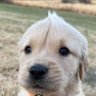 h's profile picture