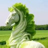 Фото профиля Bạch mã