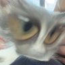1rat's profile picture