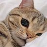 Фото профиля หลับปุ๋ยนอนไม่ดิ้น