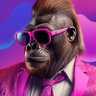 Pedro Moura's profile picture