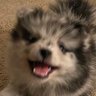 Profilbild von Crypto Bob