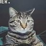 WhiteHorseGT's profile picture
