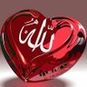 Profilbild von نبيل